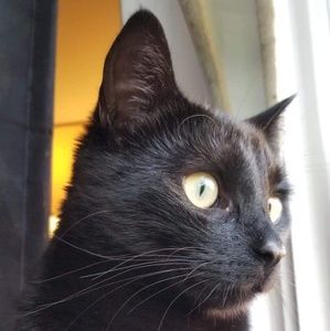 Meet your Posher, Sherry